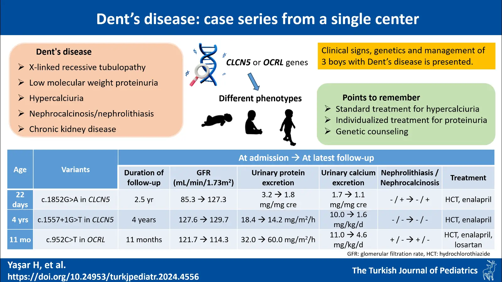 Graphical abstract