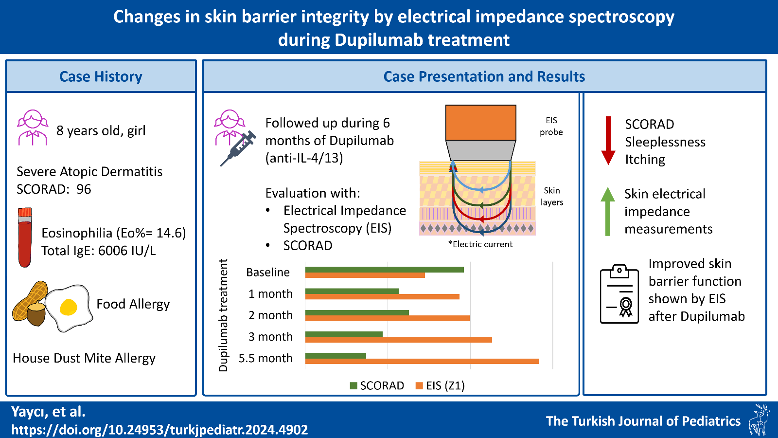 Graphical abstract