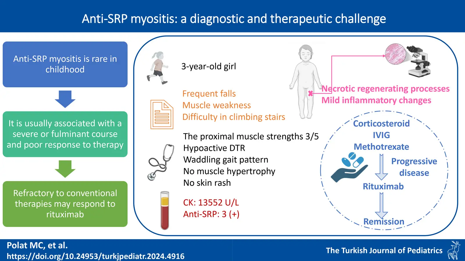 Graphical abstract