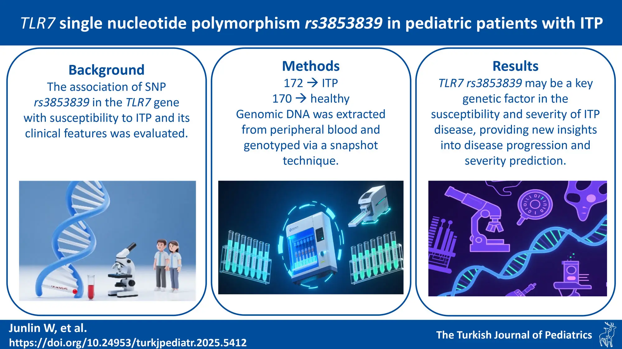 Graphical abstract