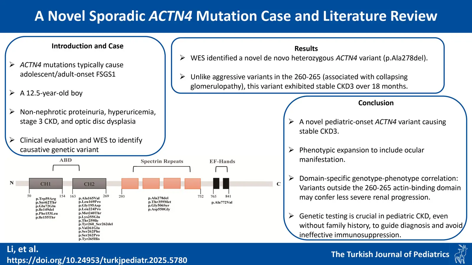 Graphical abstract
