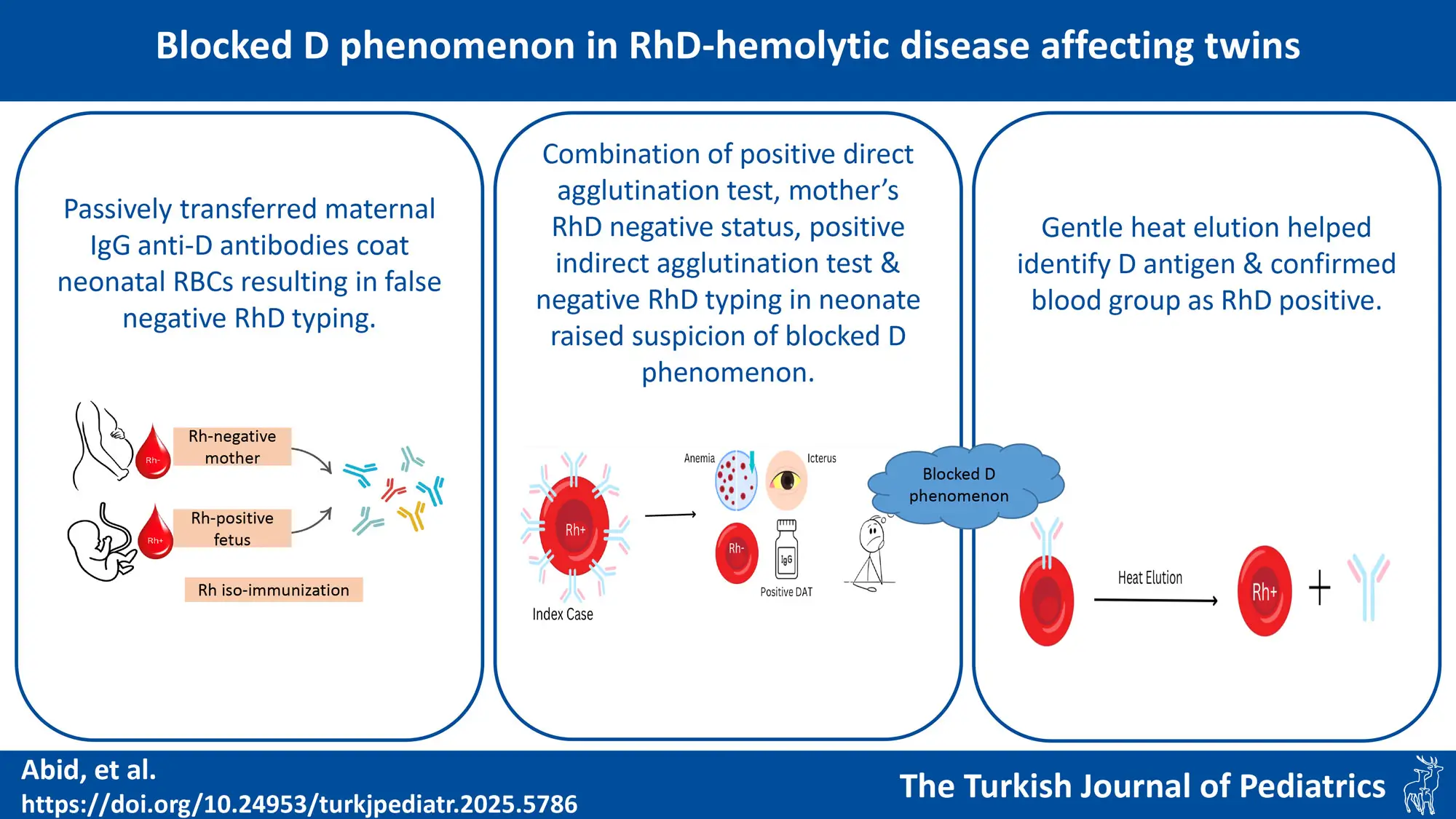 Graphical abstract