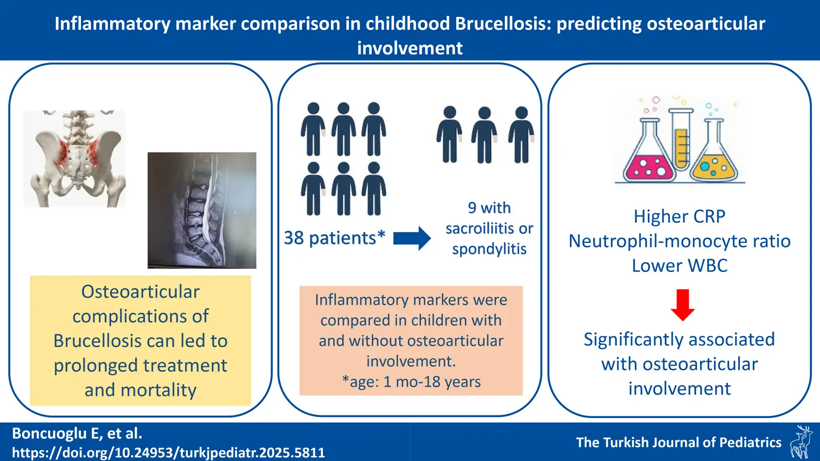 Graphical abstract