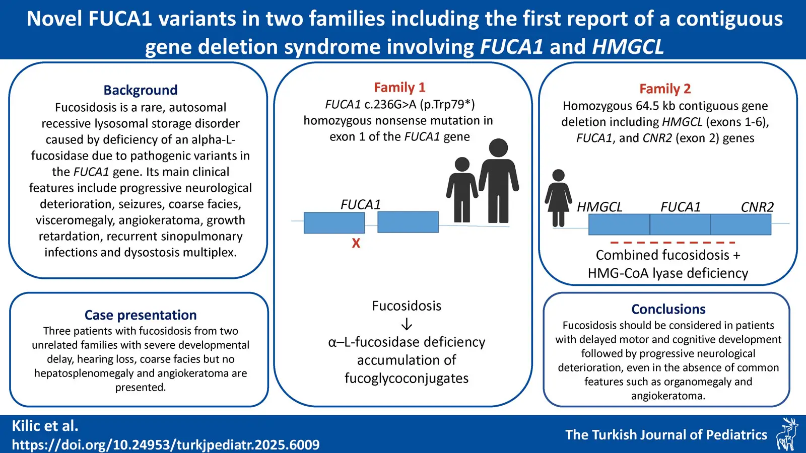 Graphical abstract