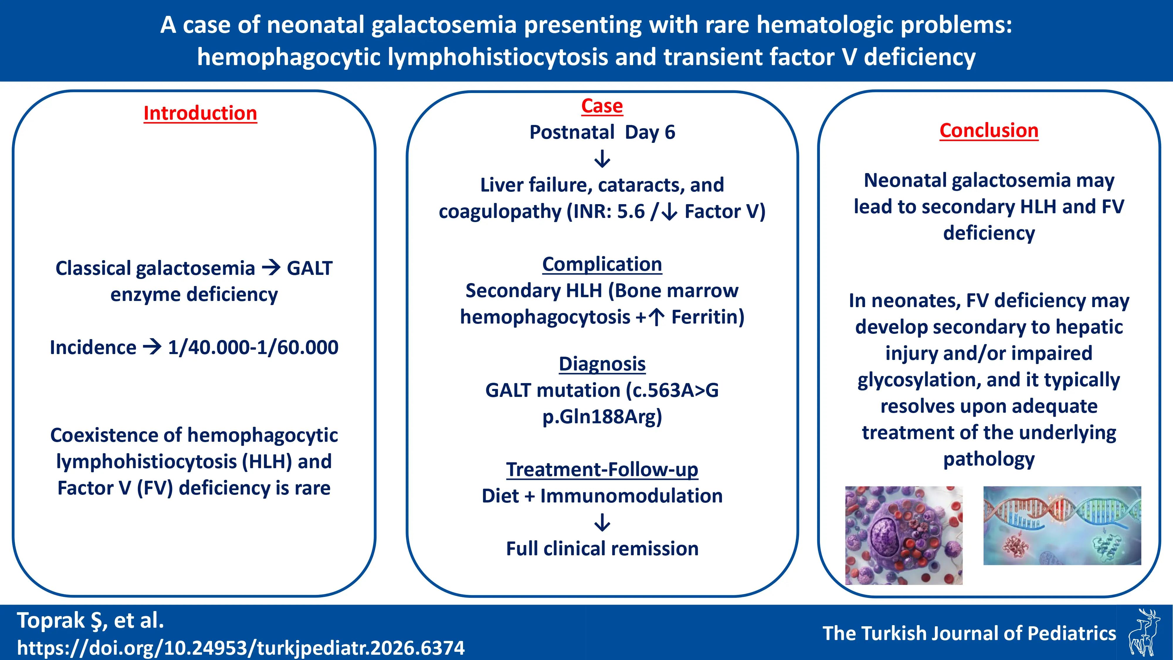 Graphical abstract