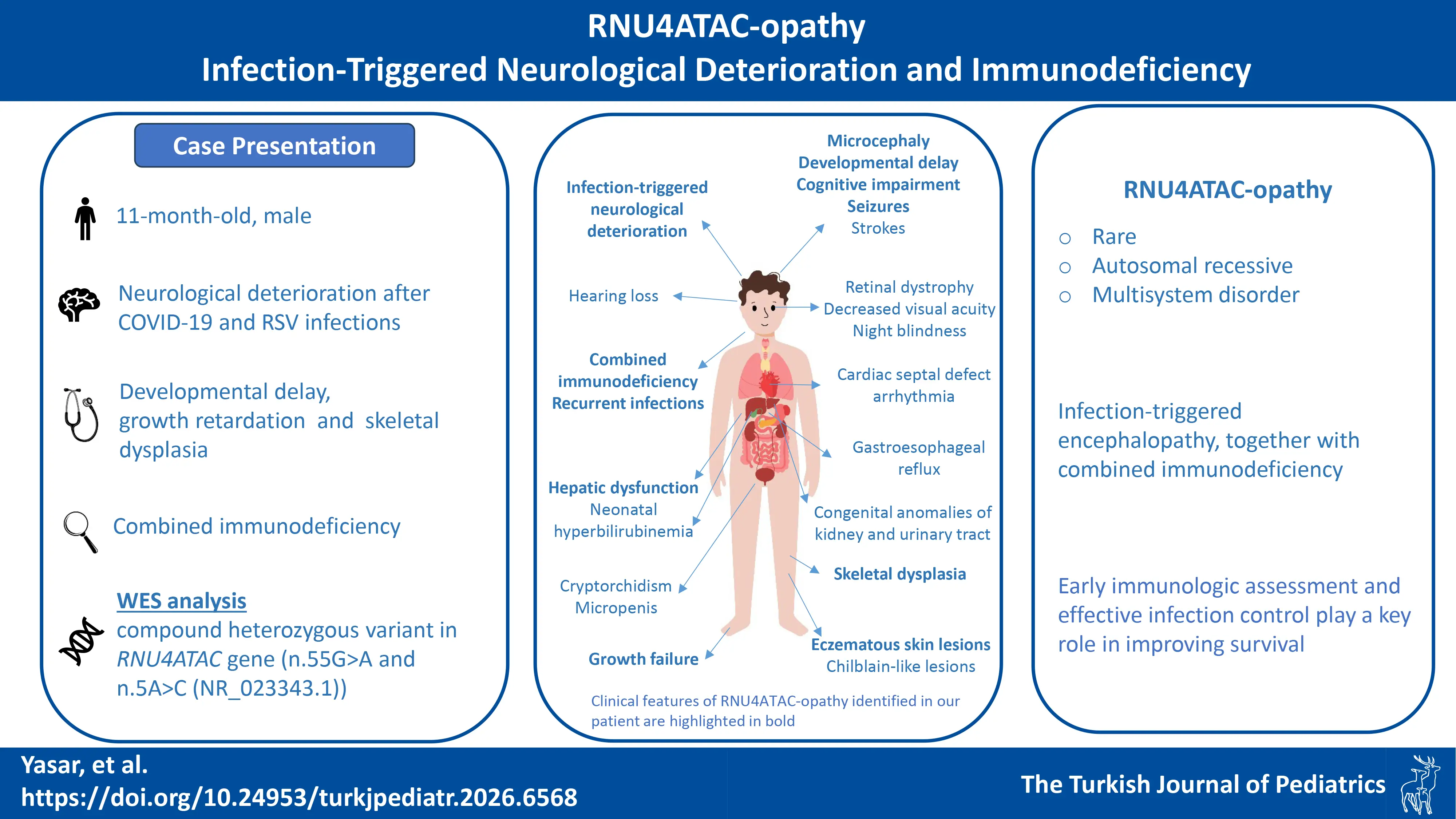 Graphical abstract