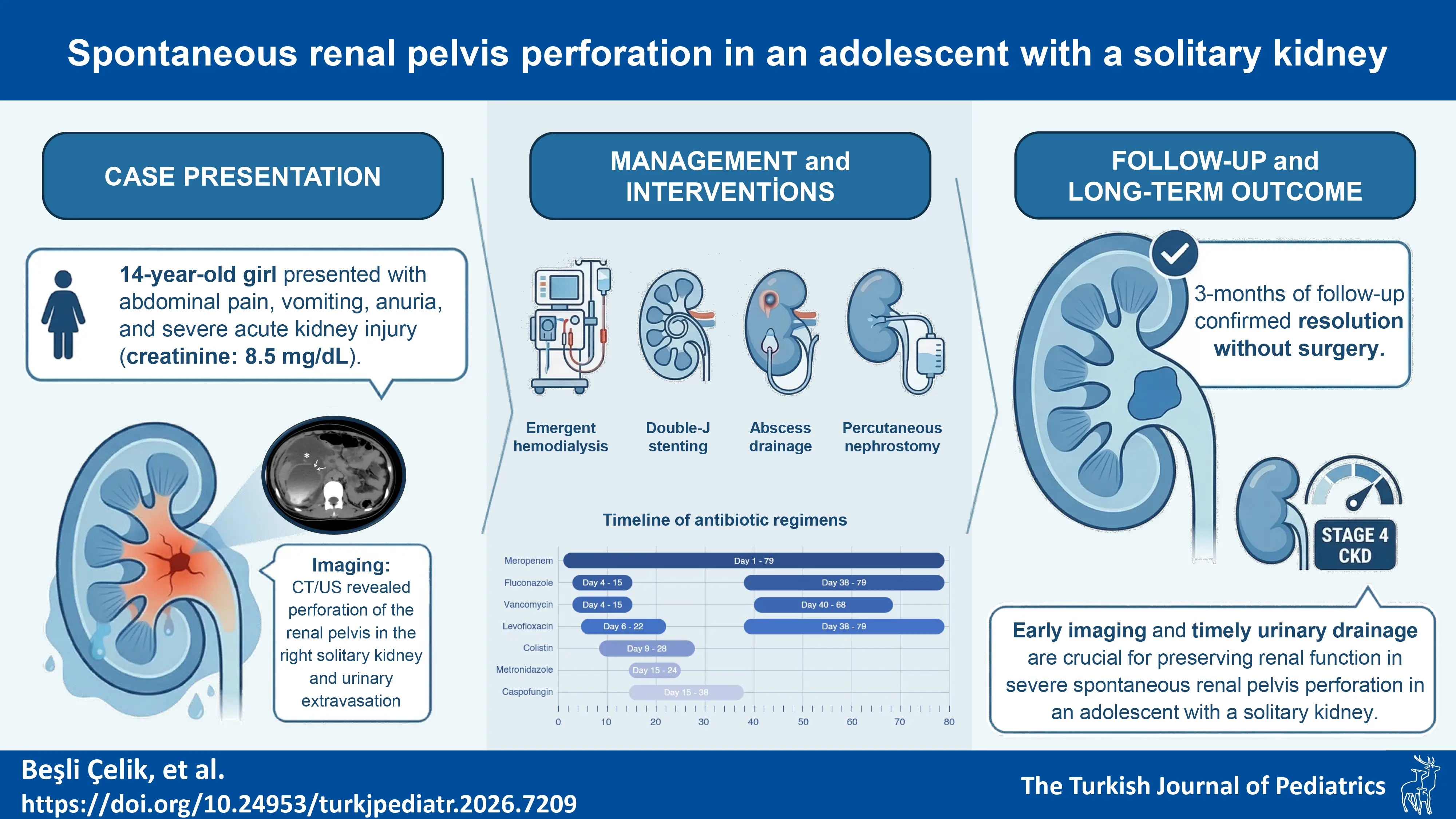 Graphical abstract