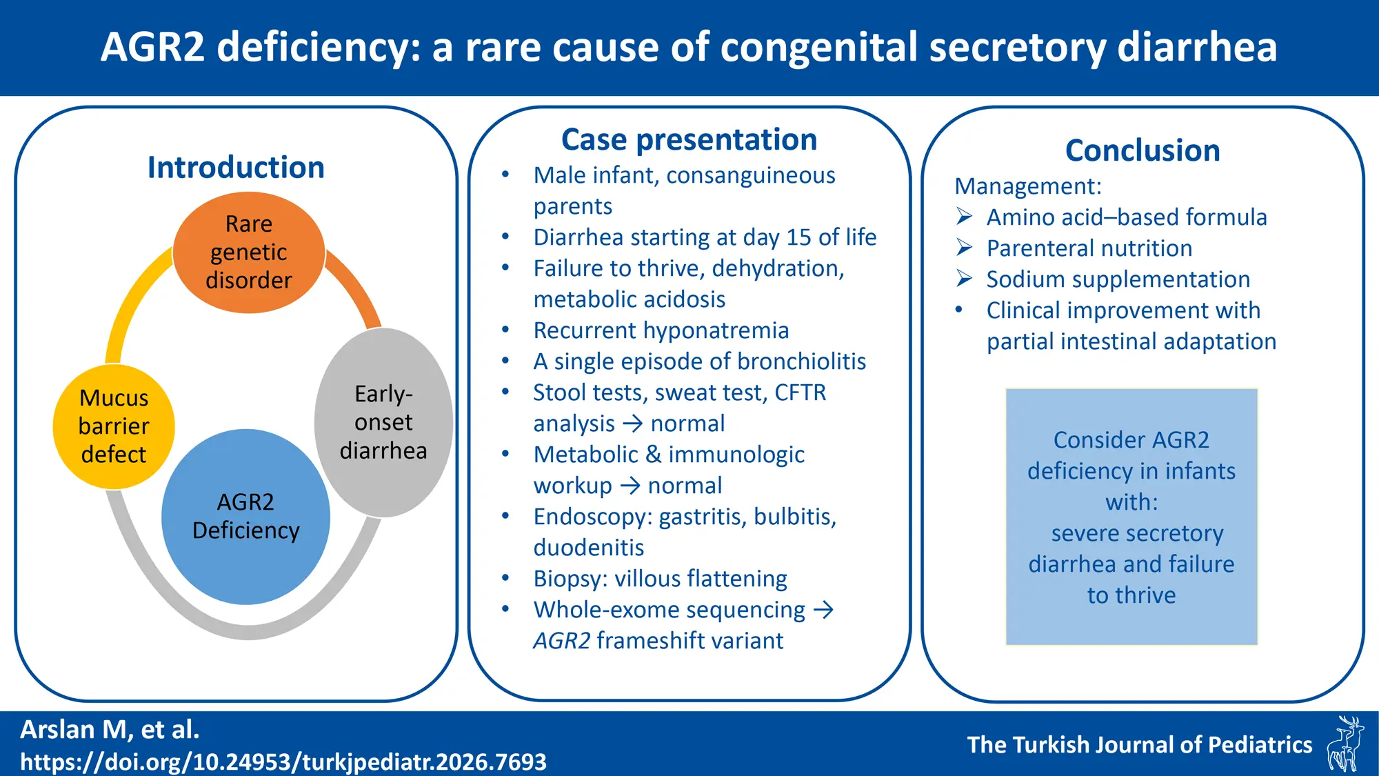 Graphical abstract